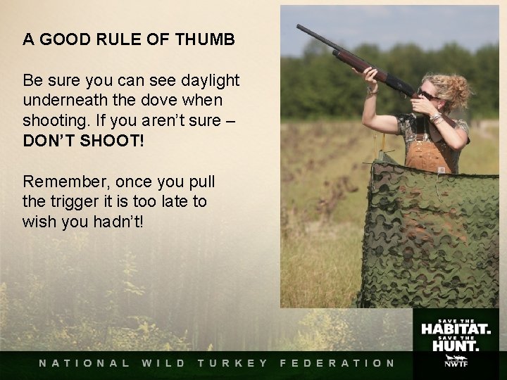 A GOOD RULE OF THUMB Be sure you can see daylight underneath the dove A GOOD RULE OF THUMB Be sure you can see daylight underneath the dove