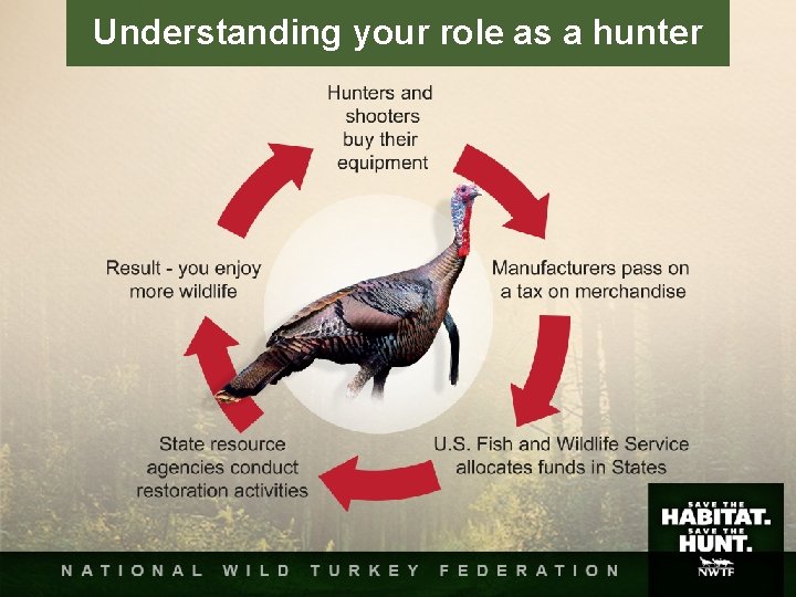 Understanding your role as a hunter Understanding your role as a hunter