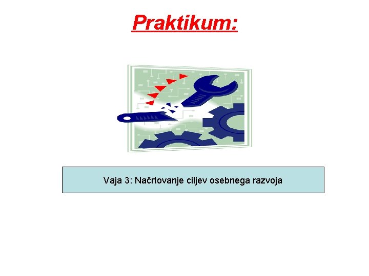 Praktikum: Vaja 3: Načrtovanje ciljev osebnega razvoja 