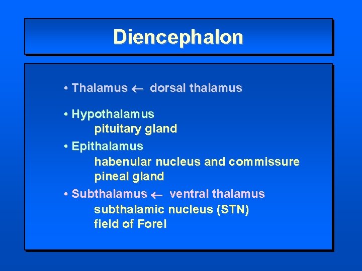 Diencephalon • Thalamus dorsal thalamus • Hypothalamus pituitary gland • Epithalamus habenular nucleus and