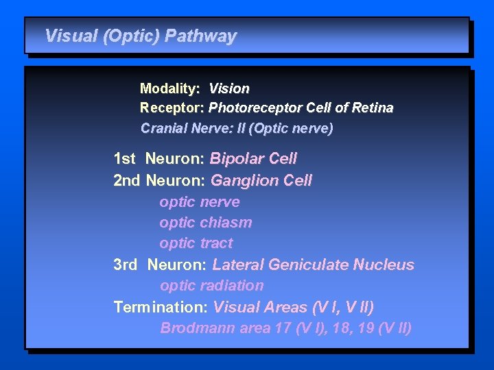 Visual (Optic) Pathway Modality: Vision Receptor: Photoreceptor Cell of Retina Cranial Nerve: II (Optic
