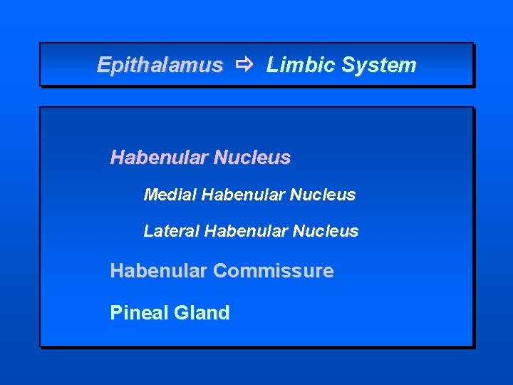 Epithalamus Limbic System Habenular Nucleus Medial Habenular Nucleus Lateral Habenular Nucleus Habenular Commissure Pineal