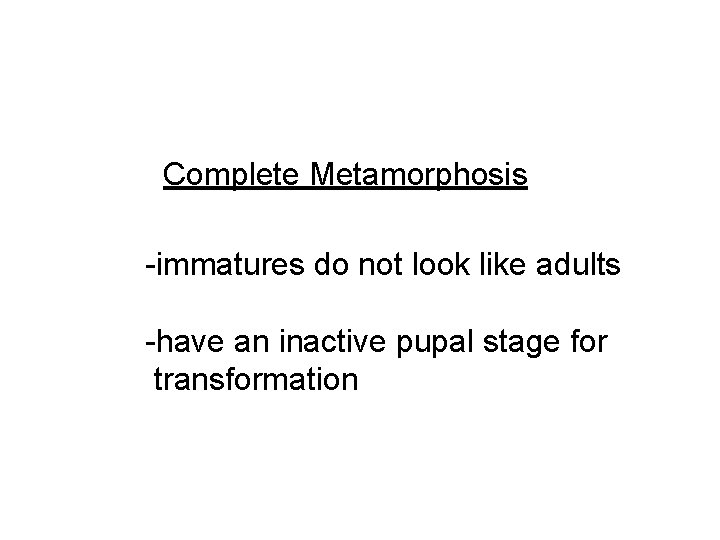 Complete Metamorphosis -immatures do not look like adults -have an inactive pupal stage for