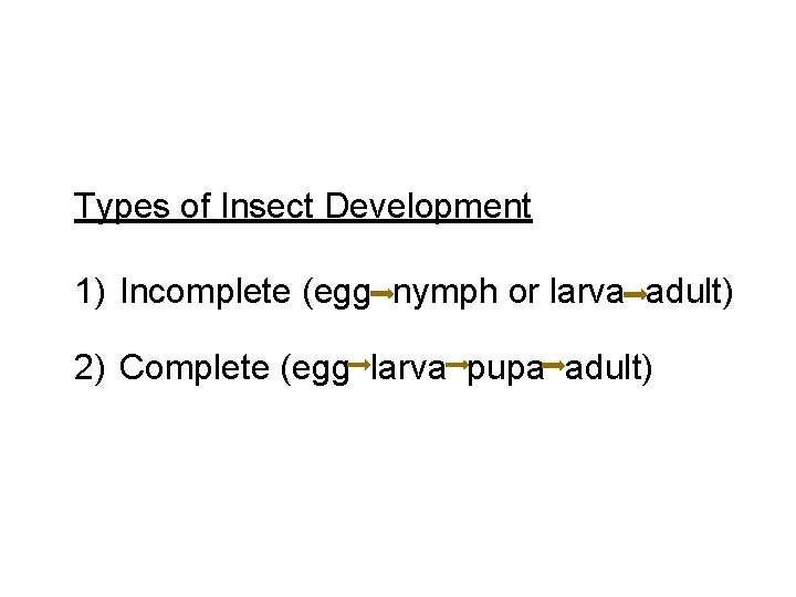 Types of Insect Development 1) Incomplete (egg nymph or larva adult) 2) Complete (egg