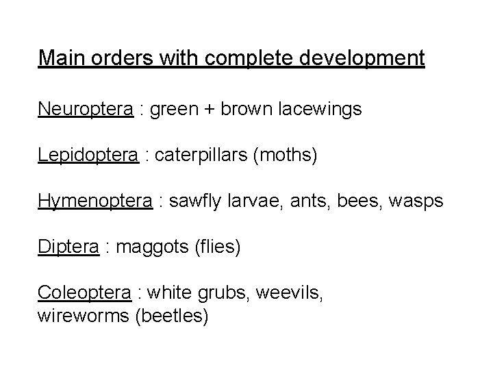 Main orders with complete development Neuroptera : green + brown lacewings Lepidoptera : caterpillars