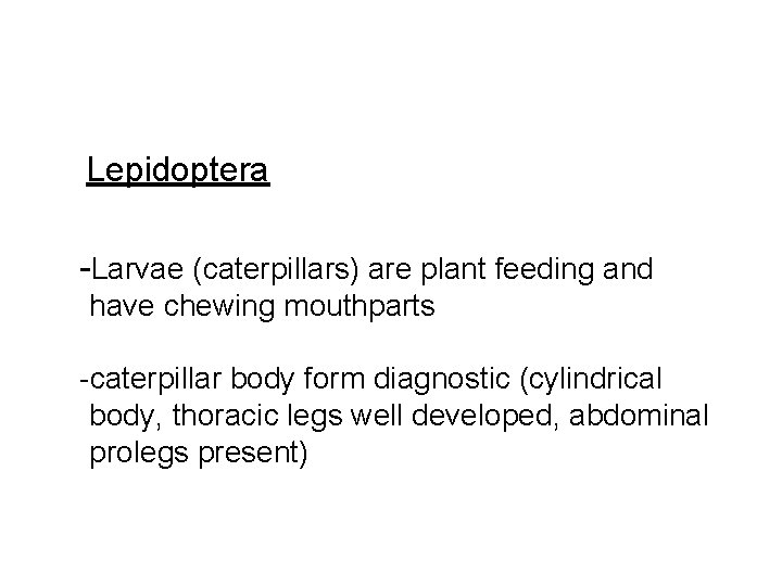 Lepidoptera -Larvae (caterpillars) are plant feeding and have chewing mouthparts -caterpillar body form diagnostic