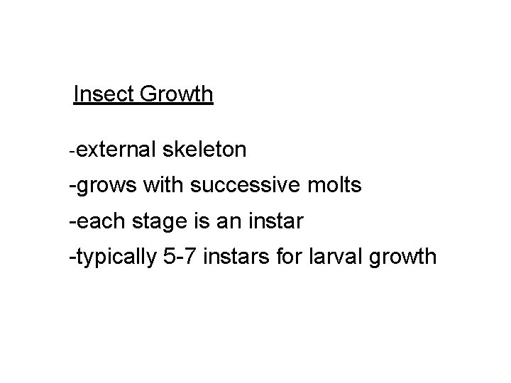 Insect Growth -external skeleton -grows with successive molts -each stage is an instar -typically