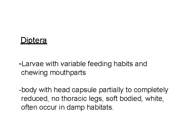Diptera -Larvae with variable feeding habits and chewing mouthparts -body with head capsule partially