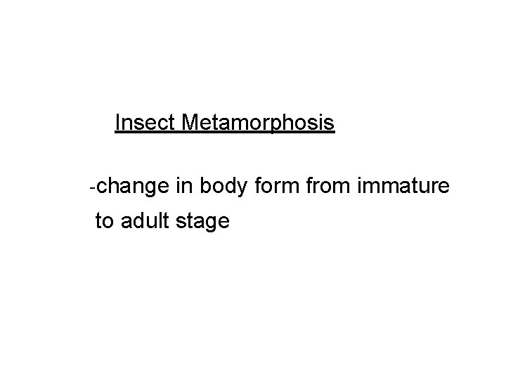 Insect Metamorphosis -change in body form from immature to adult stage 
