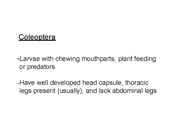 Coleoptera -Larvae with chewing mouthparts, plant feeding or predators -Have well developed head capsule,