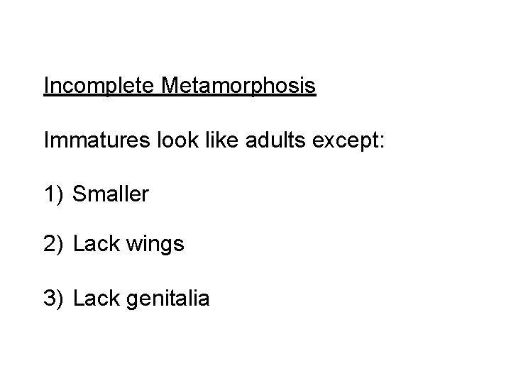 Incomplete Metamorphosis Immatures look like adults except: 1) Smaller 2) Lack wings 3) Lack