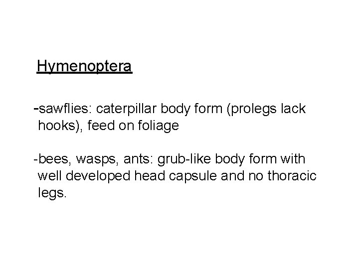 Hymenoptera -sawflies: caterpillar body form (prolegs lack hooks), feed on foliage -bees, wasps, ants: