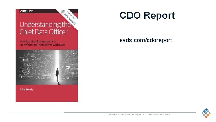 CDO Report svds. com/cdoreport 28 © 2014 SILICON VALLEY DATA SCIENCE LLC. ALL RIGHTS