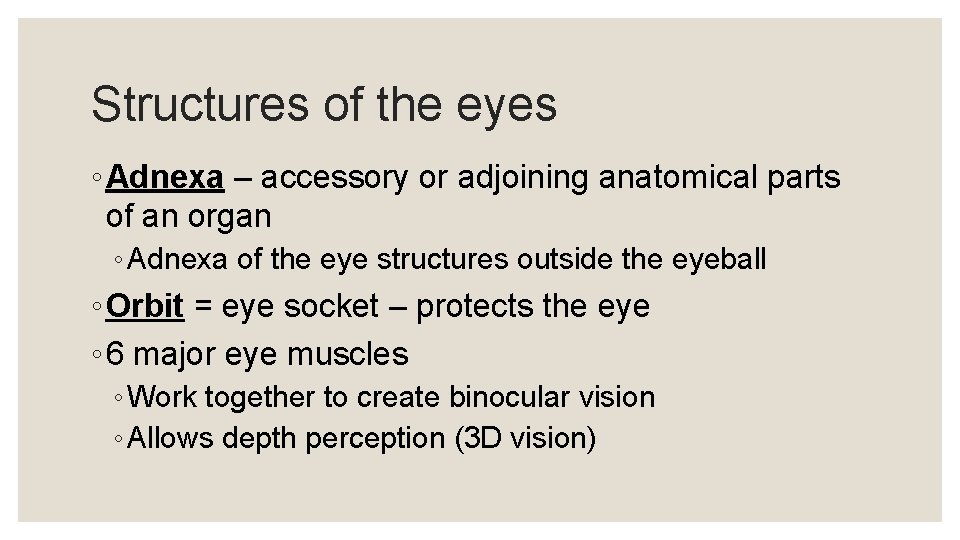 Structures of the eyes ◦ Adnexa – accessory or adjoining anatomical parts of an