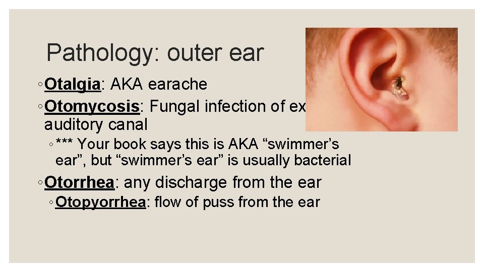 Pathology: outer ear ◦ Otalgia: AKA earache ◦ Otomycosis: Fungal infection of external auditory