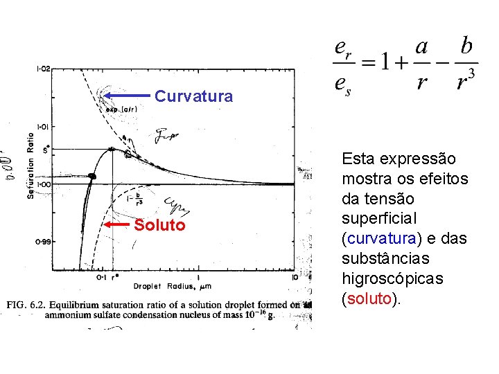 Curvatura Soluto Esta expressão mostra os efeitos da tensão superficial (curvatura) e das substâncias