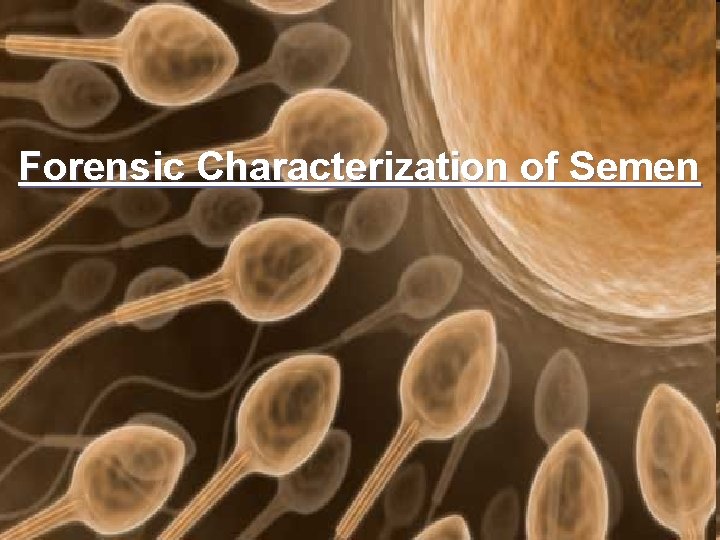 Forensic Characterization of Semen 