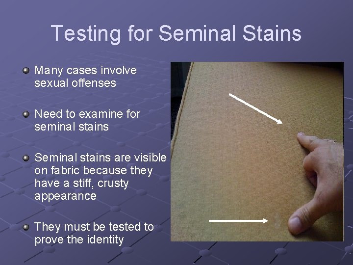 Testing for Seminal Stains Many cases involve sexual offenses Need to examine for seminal