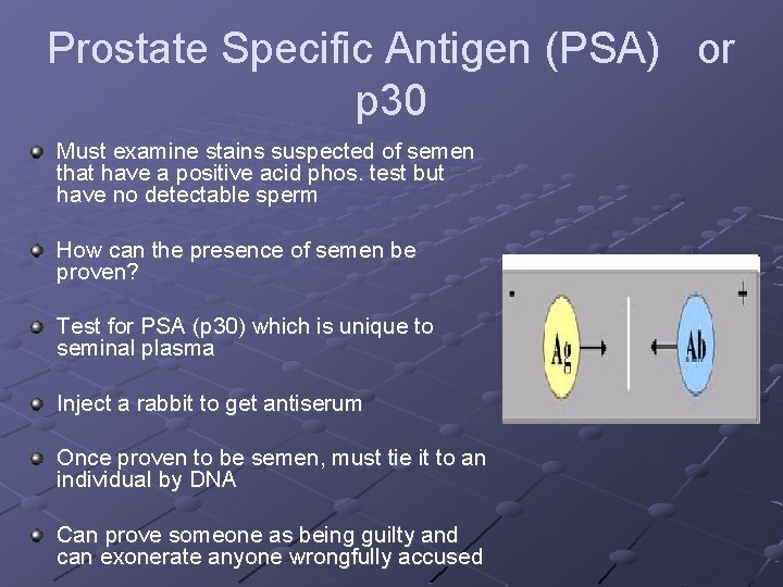 Prostate Specific Antigen (PSA) or p 30 Must examine stains suspected of semen that