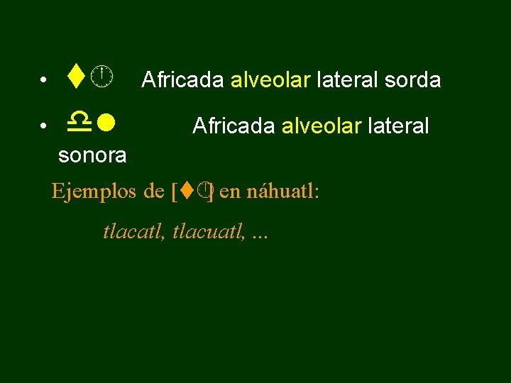  • • t dl Africada alveolar lateral sorda Africada alveolar lateral sonora Ejemplos