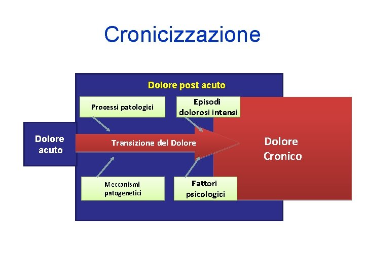 Cronicizzazione Dolore post acuto Processi patologici Dolore acuto Episodi dolorosi intensi Transizione del Dolore