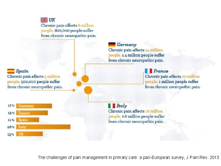 The challenges of pain management in primary care: a pan-European survey, J Pain Res.