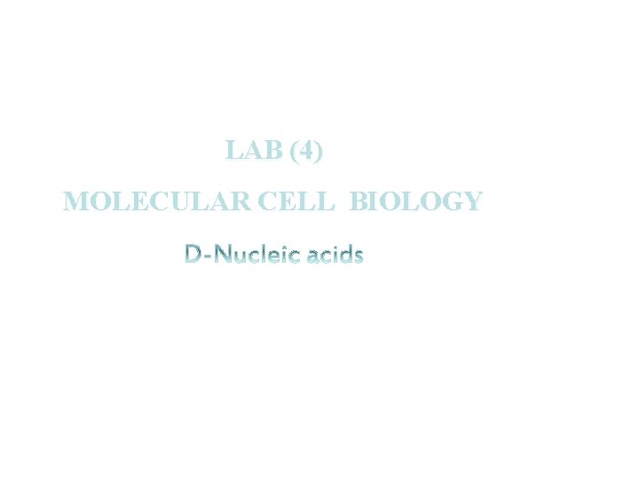 LAB (4) MOLECULAR CELL BIOLOGY 