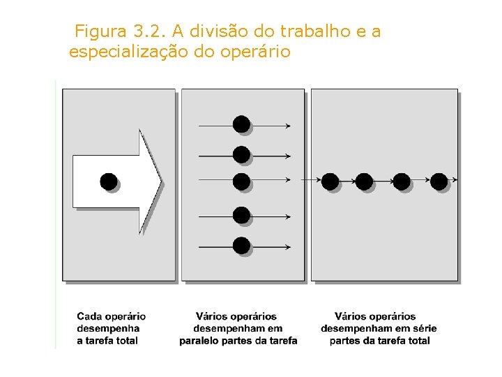 Figura 3. 2. A divisão do trabalho e a especialização do operário 