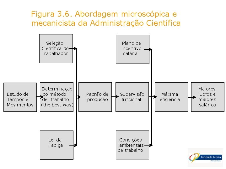 Figura 3. 6. Abordagem microscópica e mecanicista da Administração Científica Seleção Científica do Trabalhador