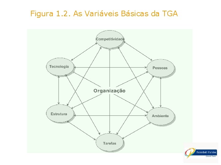 Figura 1. 2. As Variáveis Básicas da TGA 