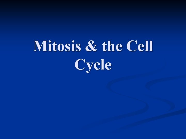 Mitosis & the Cell Cycle 