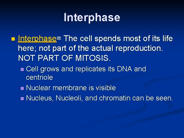 Interphase n Interphase= The cell spends most of its life here; not part of