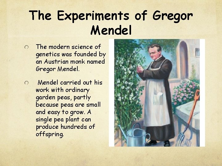 The Experiments of Gregor Mendel The modern science of genetics was founded by an