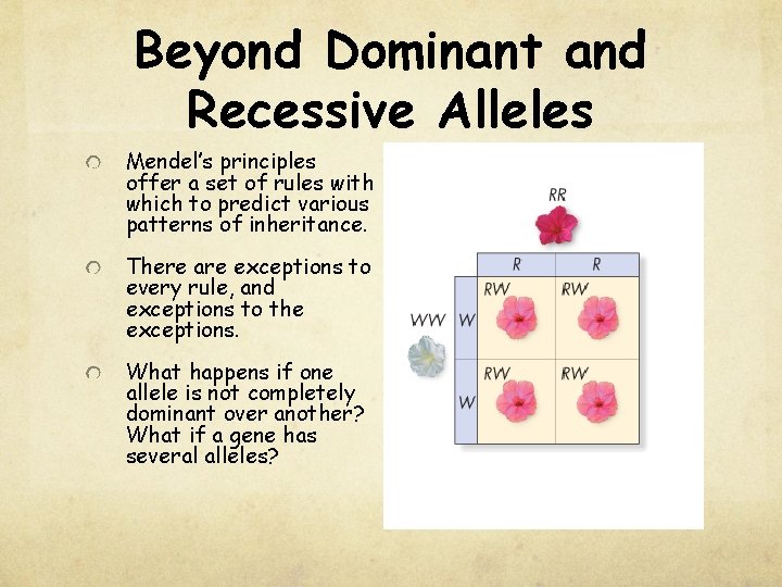 Beyond Dominant and Recessive Alleles Mendel’s principles offer a set of rules with which
