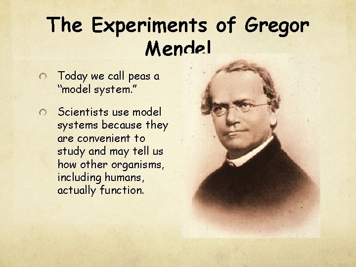 The Experiments of Gregor Mendel Today we call peas a “model system. ” Scientists