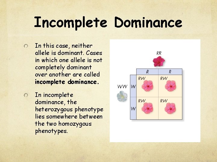 Incomplete Dominance In this case, neither allele is dominant. Cases in which one allele