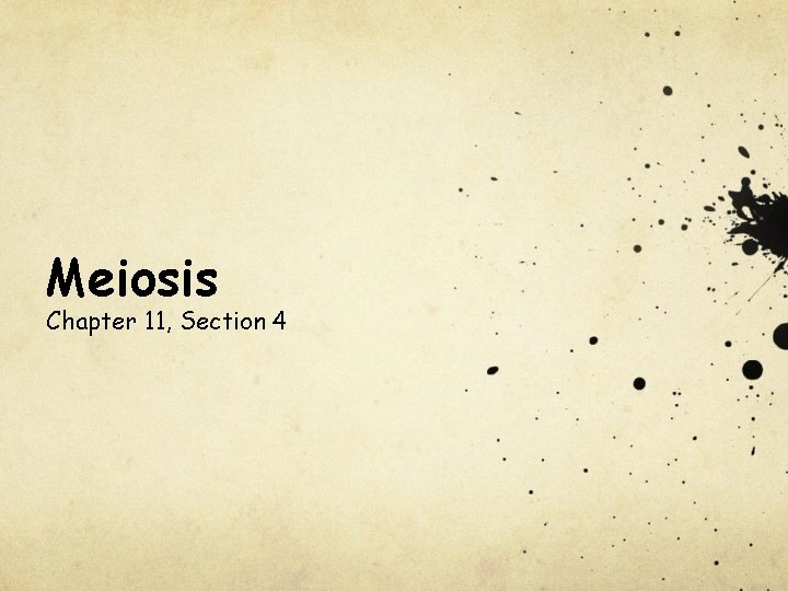 Meiosis Chapter 11, Section 4 