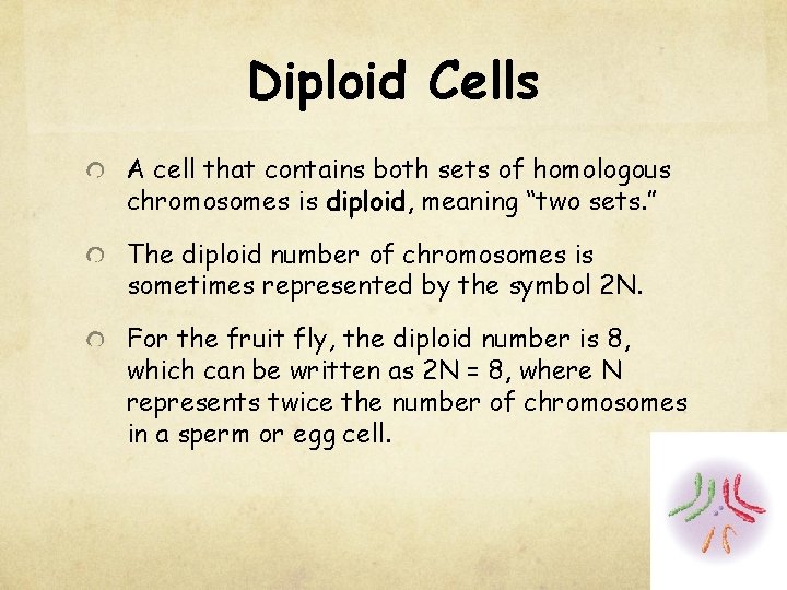 Diploid Cells A cell that contains both sets of homologous chromosomes is diploid, meaning