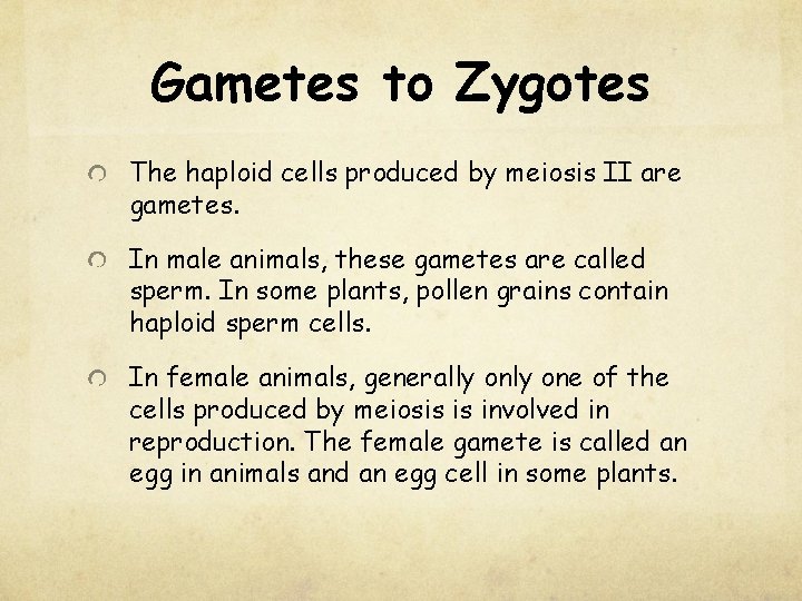 Gametes to Zygotes The haploid cells produced by meiosis II are gametes. In male