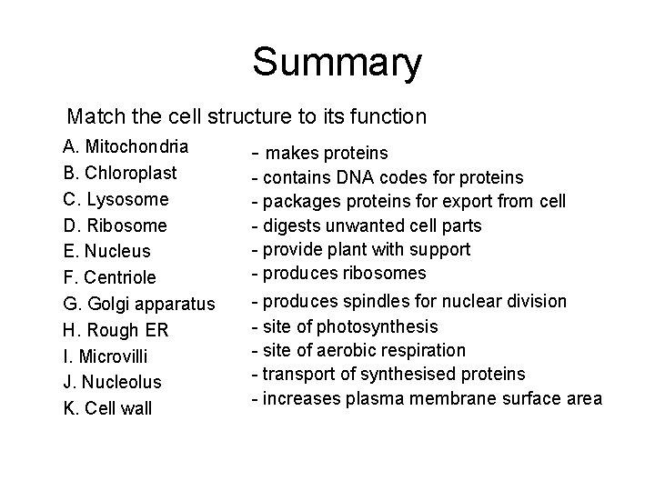 Summary Match the cell structure to its function A. Mitochondria B. Chloroplast C. Lysosome Summary Match the cell structure to its function A. Mitochondria B. Chloroplast C. Lysosome