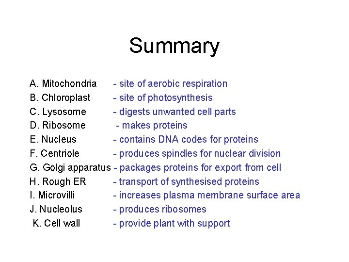 Summary A. Mitochondria - site of aerobic respiration B. Chloroplast - site of photosynthesis Summary A. Mitochondria - site of aerobic respiration B. Chloroplast - site of photosynthesis