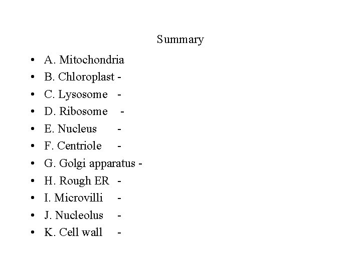 Summary • • • A. Mitochondria B. Chloroplast C. Lysosome D. Ribosome E. Nucleus Summary • • • A. Mitochondria B. Chloroplast C. Lysosome D. Ribosome E. Nucleus