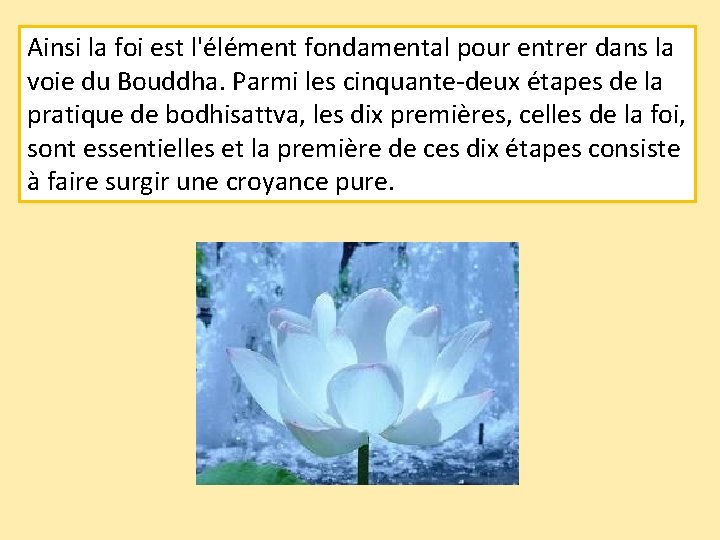 Ainsi la foi est l'élément fondamental pour entrer dans la voie du Bouddha. Parmi