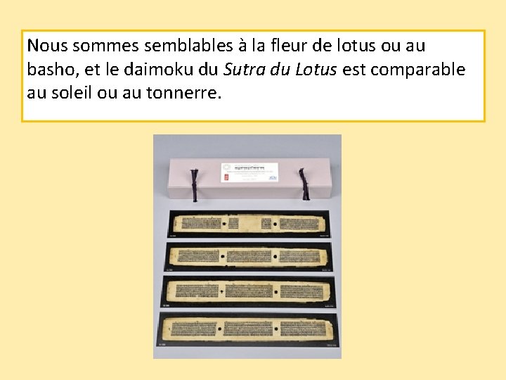 Nous sommes semblables à la fleur de lotus ou au basho, et le daimoku