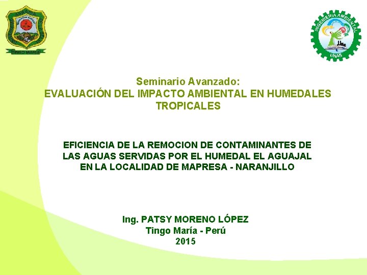 Seminario Avanzado: EVALUACIÓN DEL IMPACTO AMBIENTAL EN HUMEDALES TROPICALES EFICIENCIA DE LA REMOCION DE