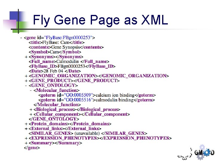 Fly Gene Page as XML 