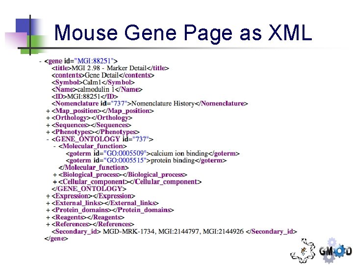 Mouse Gene Page as XML 