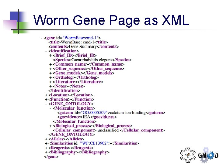 Worm Gene Page as XML 