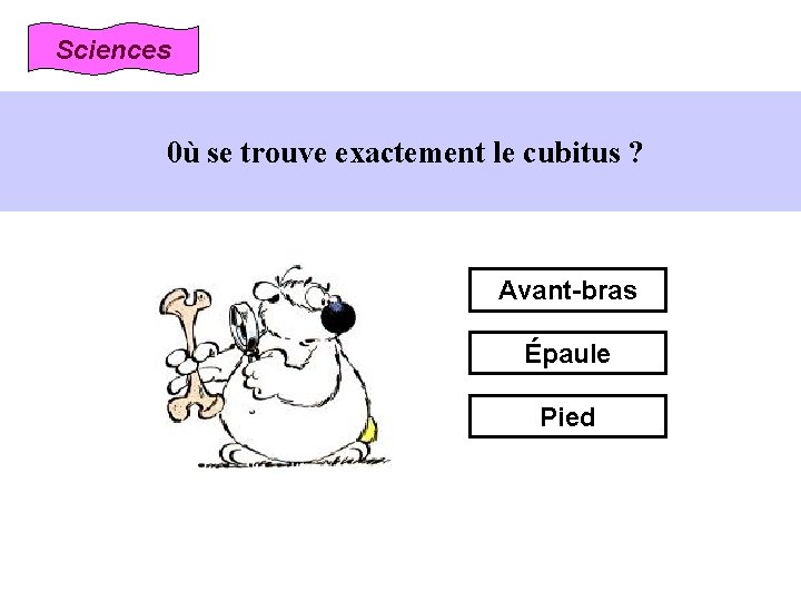 Sciences 0ù se trouve exactement le cubitus ? Avant-bras Épaule Pied 