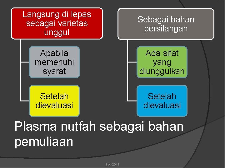 Langsung di lepas sebagai varietas unggul Sebagai bahan persilangan Apabila memenuhi syarat Ada sifat